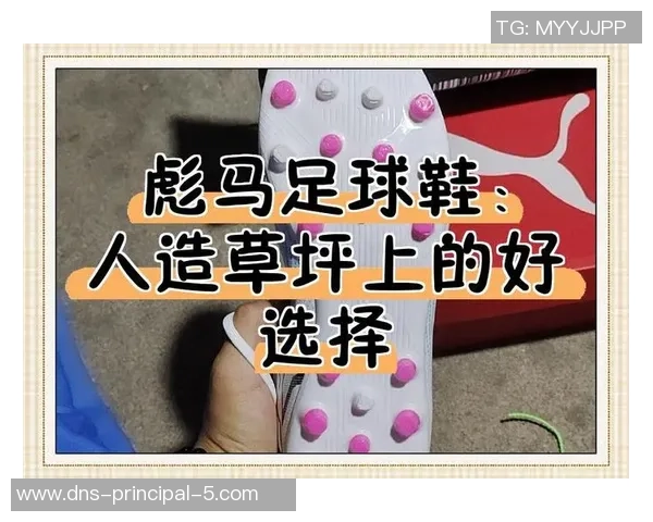 彪马足球鞋价格揭秘让你轻松选择适合自己的款式与预算 彪马足球鞋价格揭秘让你轻松选择适合自己的款式与预算